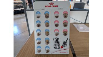 PLV kibbles ROYAL CANIN