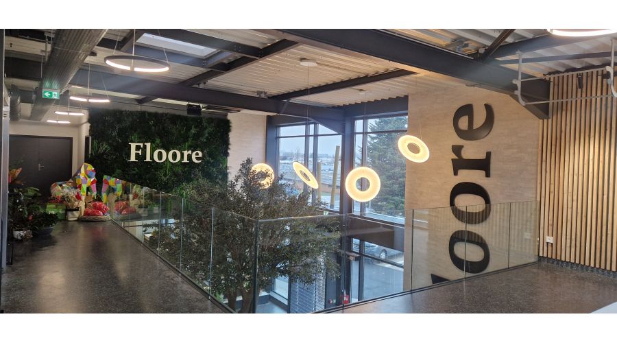 FLOORE