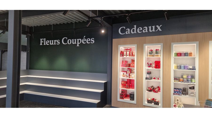FLOORE