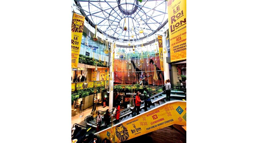 LE ROI LION THEATRE MOGADOR au Passage du Havre