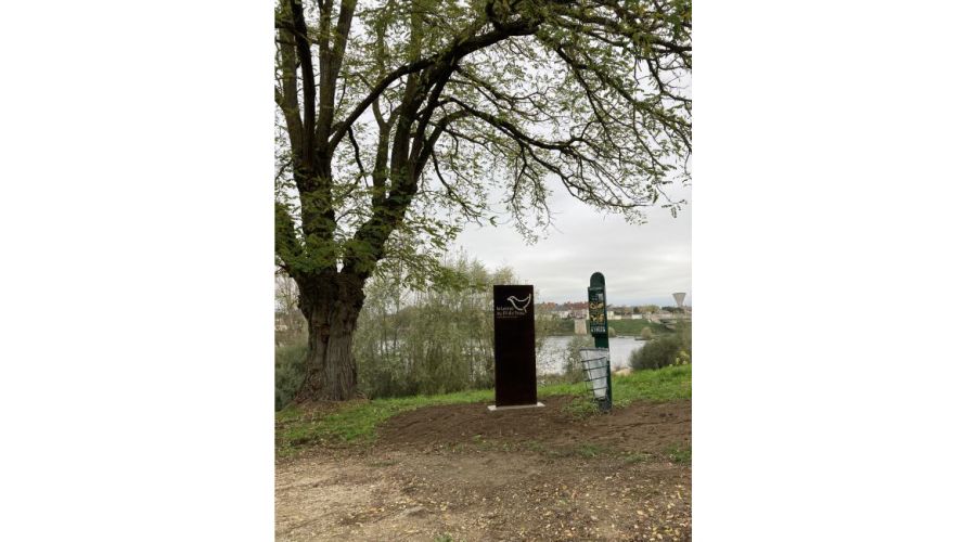 Le Loiret au fil de l'eau
