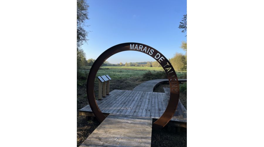 Communauté de communes Chinon Vienne et Loire : Un marais préservé