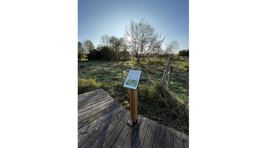 Communauté de communes Chinon Vienne et Loire : Un marais préservé