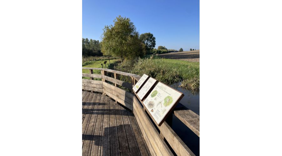 Communauté de communes Chinon Vienne et Loire : Un marais préservé