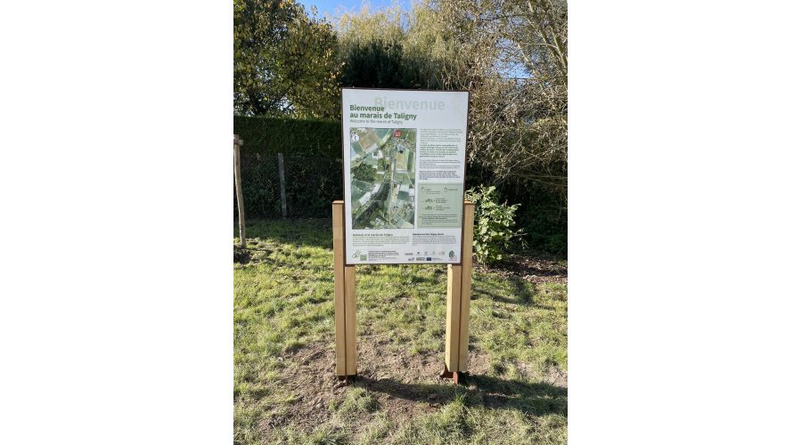 Communauté de communes Chinon Vienne et Loire : Un marais préservé