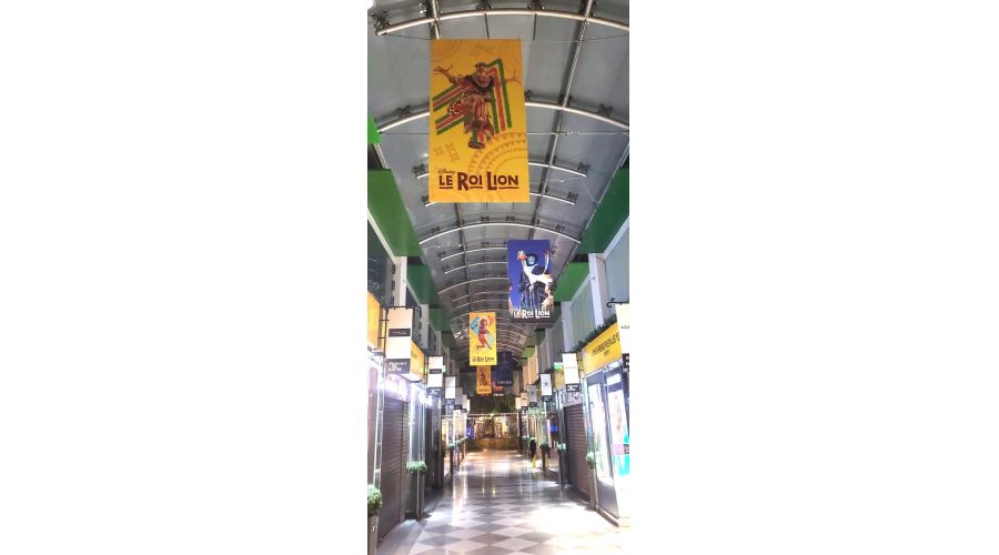 LE ROI LION THEATRE MOGADOR au Passage du Havre