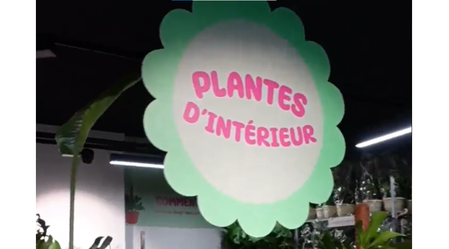 PLANTES POUR TOUS